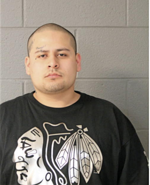 ADRIEL ALVAREZ, Cook County, Illinois