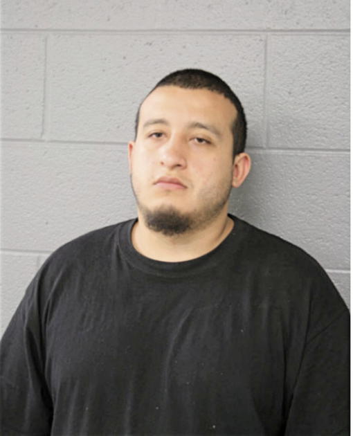 CARLOS ANDRADE, Cook County, Illinois