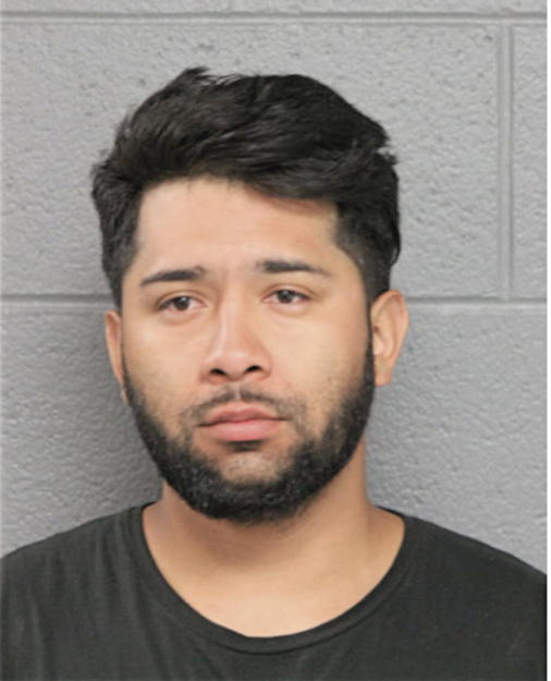 JAMIE A ANTUNEZ, Cook County, Illinois