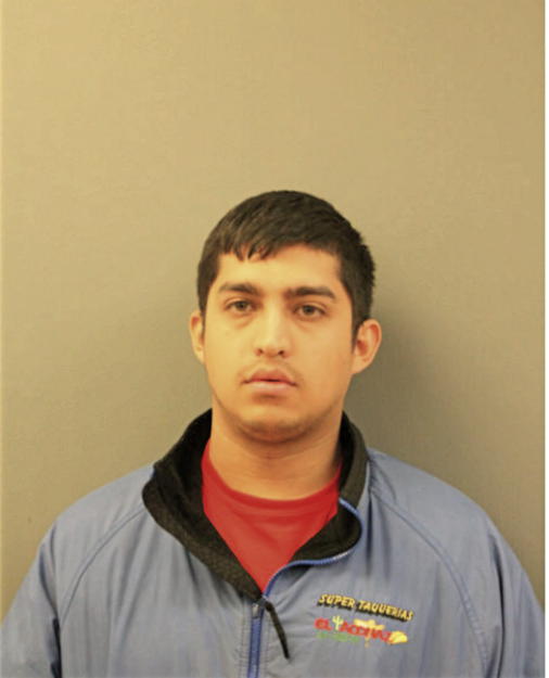DIEGO J ARCEO NUNEZ, Cook County, Illinois