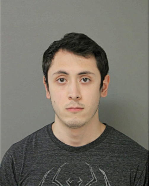 JUAN L AVINA, Cook County, Illinois