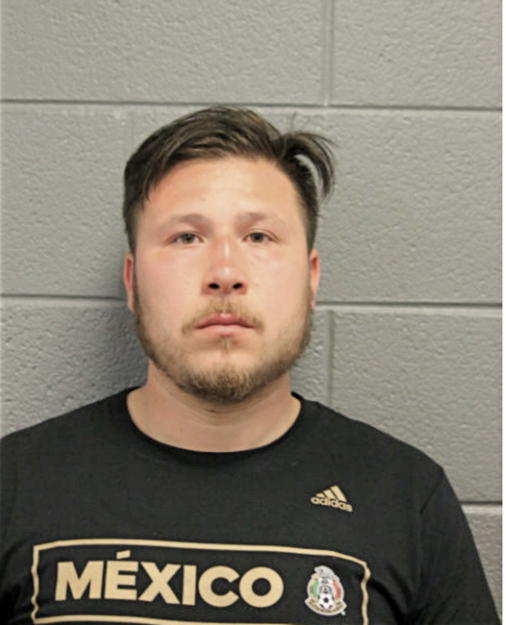 JUAN M BARCENAS PINA, Cook County, Illinois