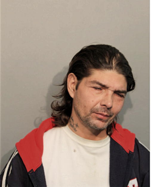 MICHAEL BAUER, Cook County, Illinois