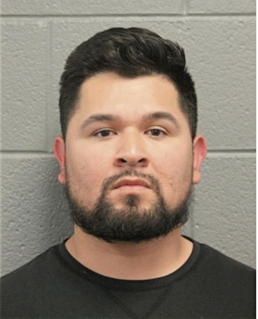 DAFNIS DIRZO BELLO, Cook County, Illinois