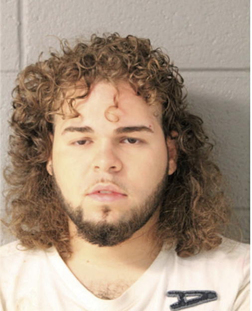 HECTOR O BRAVO, Cook County, Illinois