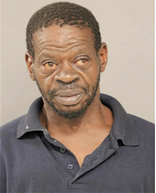 MICHAEL A BRINSON, Cook County, Illinois