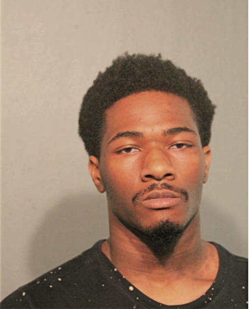 BRIAN D BROWNLEE, Cook County, Illinois