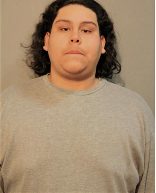 JUAN C CHAVEZ, Cook County, Illinois