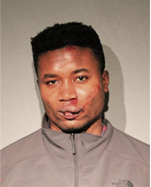TAIWO C FAGBEMI, Cook County, Illinois