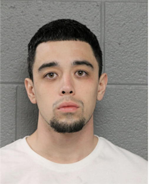 MICHAEL A FERREIRA, Cook County, Illinois