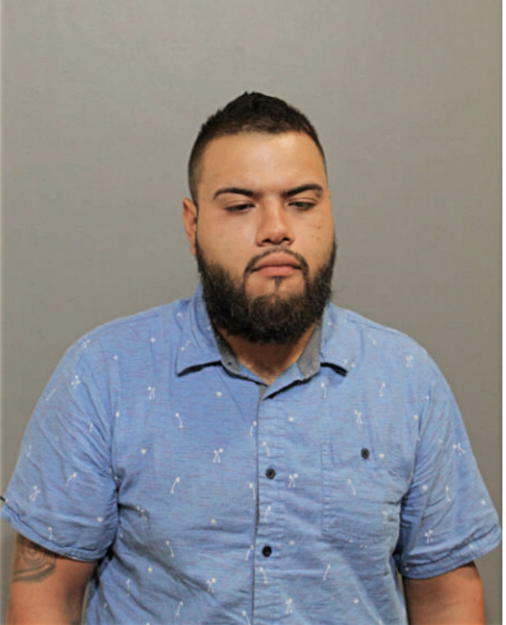 ALONSO GARCIA-SANDOVAL, Cook County, Illinois