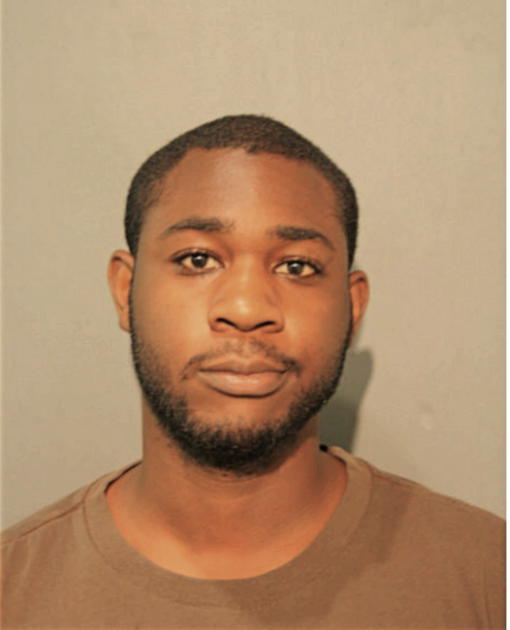 SHUNDA S JOHNSON, Cook County, Illinois