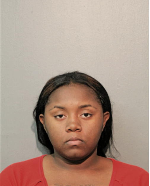 CLARISSA T LANDON, Cook County, Illinois