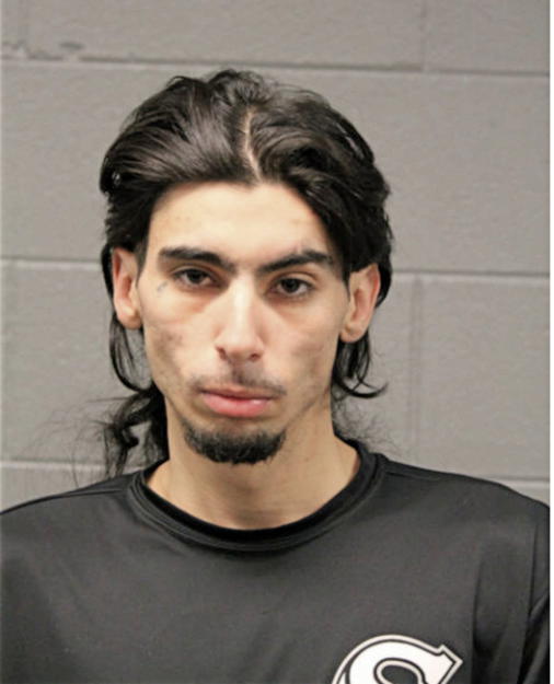 ANTHONY T LARA, Cook County, Illinois