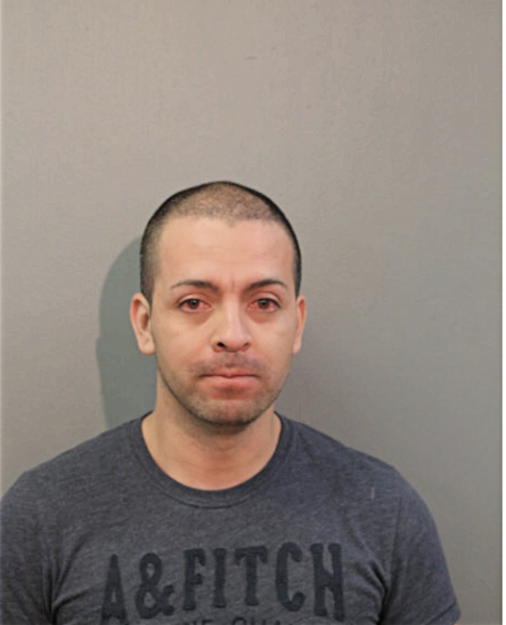MARIO DE LEON DEL CID, Cook County, Illinois