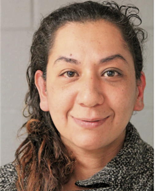 HANADI G MAHMOUD, Cook County, Illinois