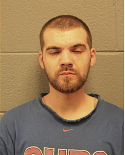 NOEL S MIHALCEAN, Cook County, Illinois