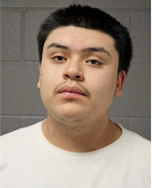 FLAVIO MONTESDEOCAMORA, Cook County, Illinois