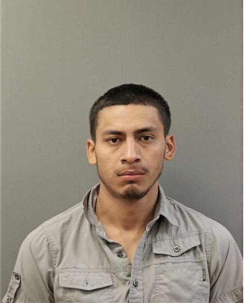 FAJARDO ORBELIN, Cook County, Illinois