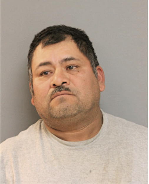CELSO ORTEGA, Cook County, Illinois