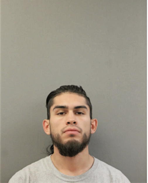 JOEY ORTIZ, Cook County, Illinois