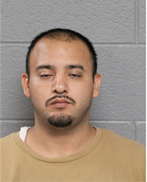 JOSE L RAMIREZ, Cook County, Illinois