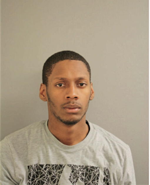LAMONT C ROSS, Cook County, Illinois
