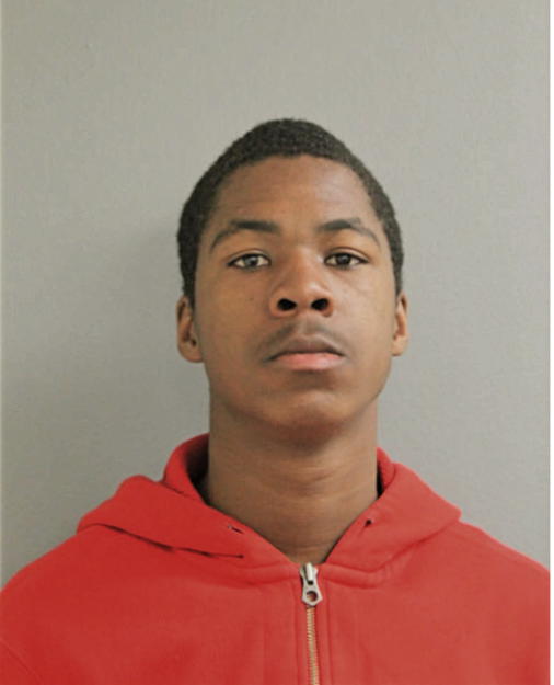 TYRONE A SHEPERD, Cook County, Illinois