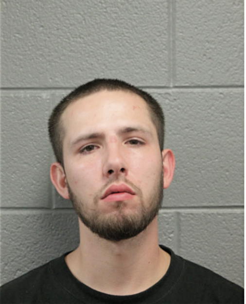 BRANDON C STEWART, Cook County, Illinois