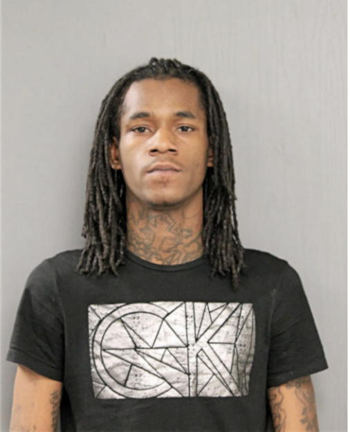 TERRELL T TIMBERLAKE, Cook County, Illinois