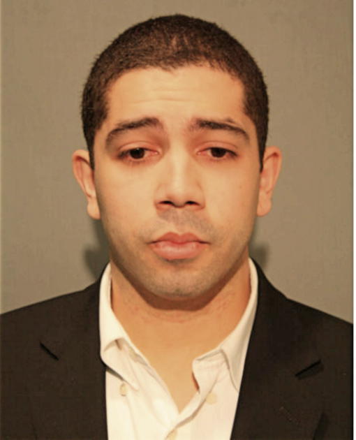 NELSON A TORRES, Cook County, Illinois