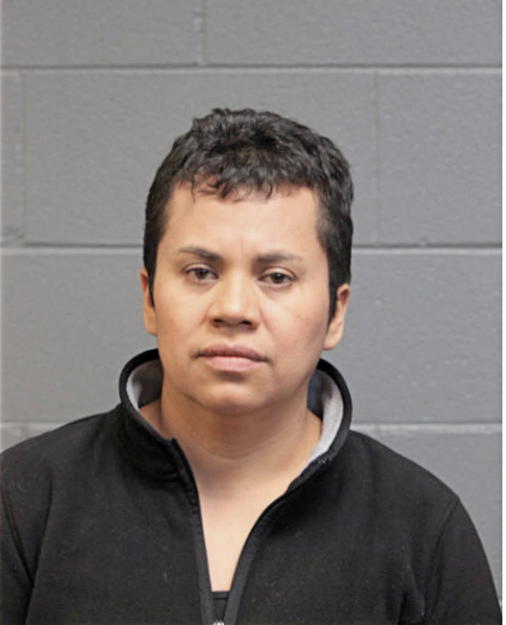 ESTELA VARA, Cook County, Illinois