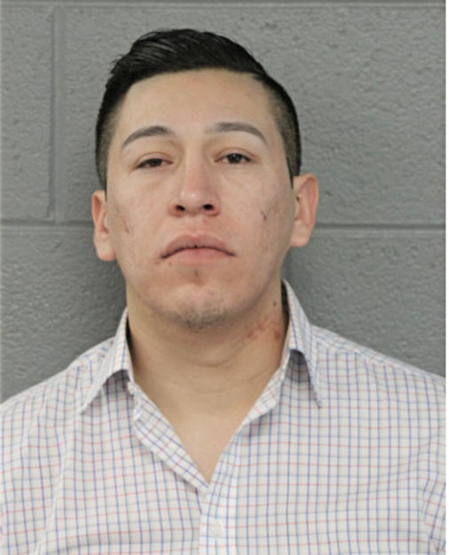 ANGEL E VARGAS-DIAZ, Cook County, Illinois