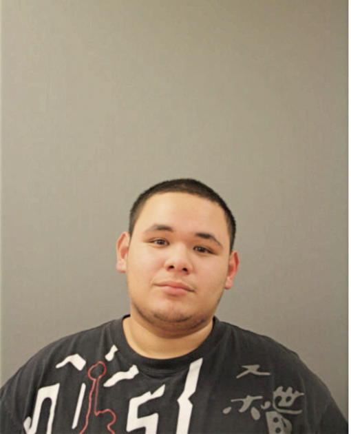 CARLOS M VEGA, Cook County, Illinois