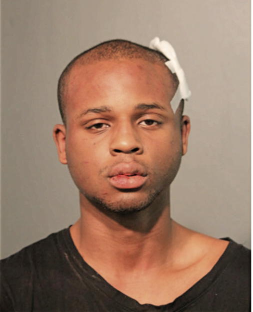 JAMES C WARREN, Cook County, Illinois