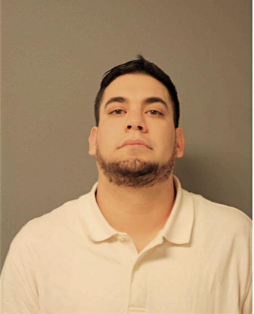 LUIS D ARCOS, Cook County, Illinois