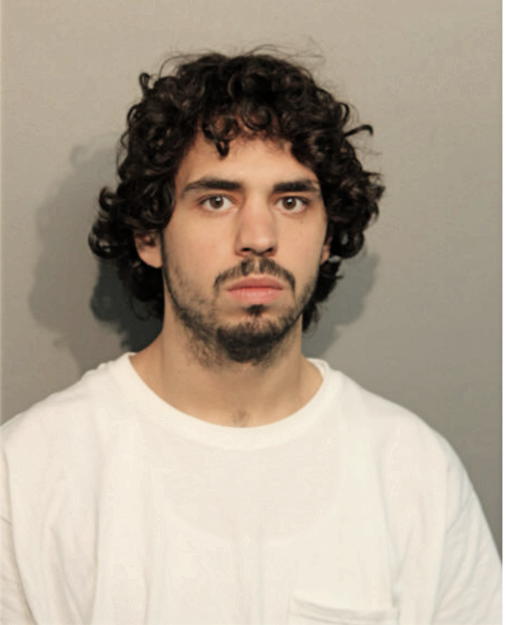 DYLAN C ARELLANO, Cook County, Illinois