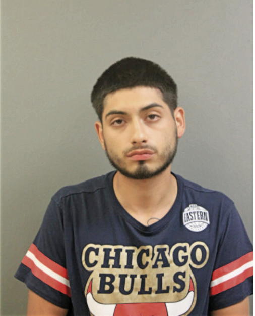 HUMBERTO BERBER, Cook County, Illinois