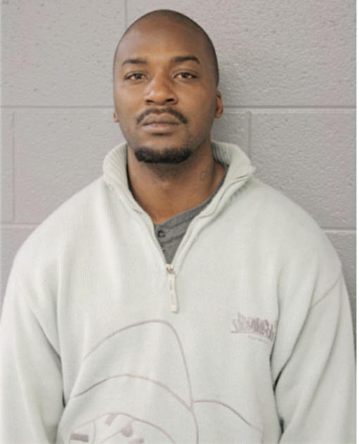 STEVEN T BINION, Cook County, Illinois