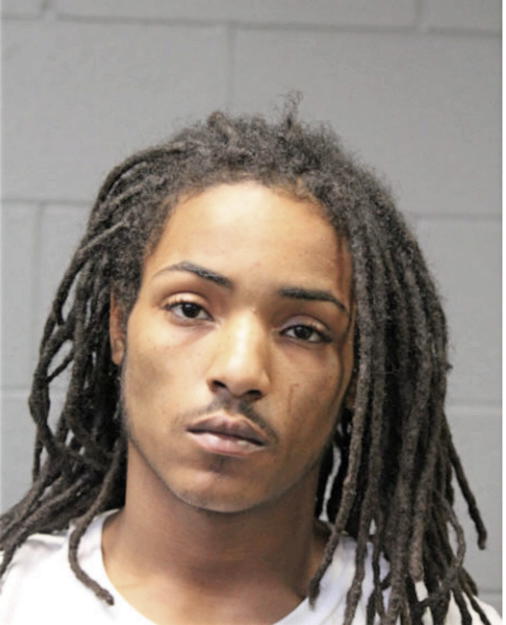ERIC D BROWN, Cook County, Illinois