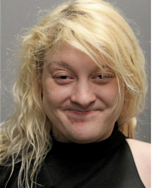 JAZMINE A BUDZICHOWSKI, Cook County, Illinois