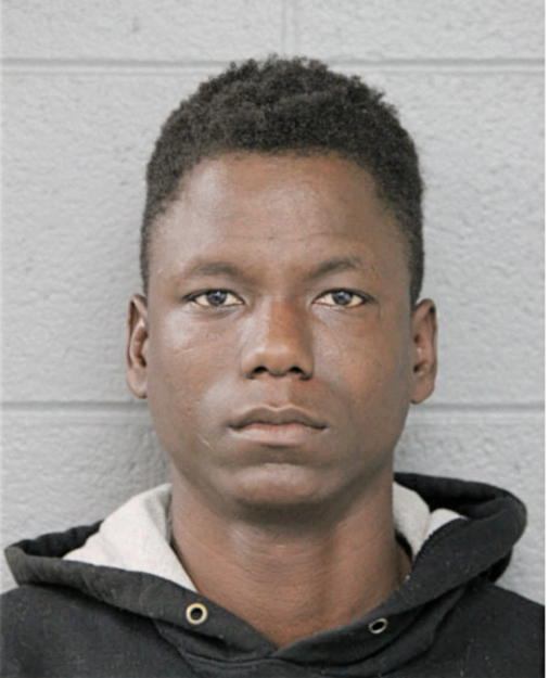 RONALD L EVANS, Cook County, Illinois