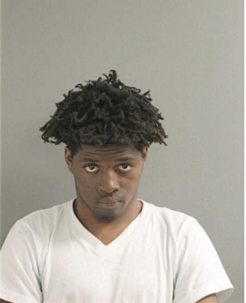 NERAYE D FIELDS, Cook County, Illinois