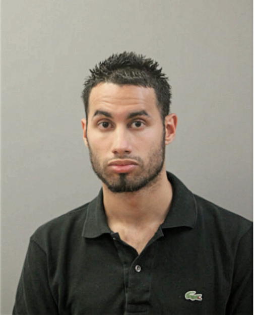 KEVYN E GONZALEZ-ALICEA, Cook County, Illinois