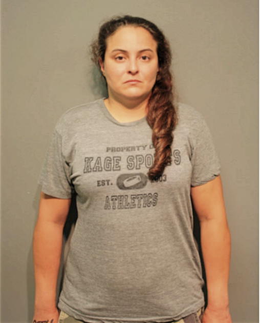 JENNIFER M HENKE, Cook County, Illinois