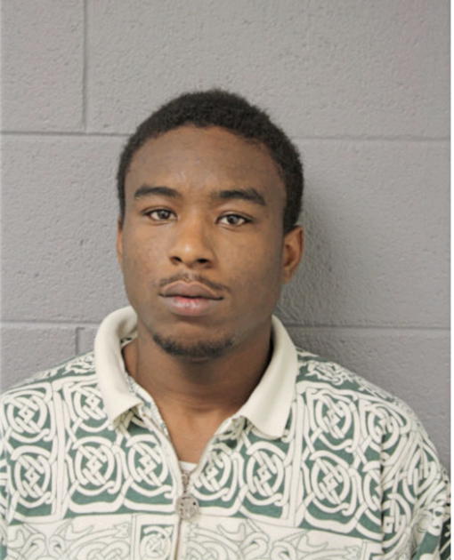 BRANDON D HOLT, Cook County, Illinois
