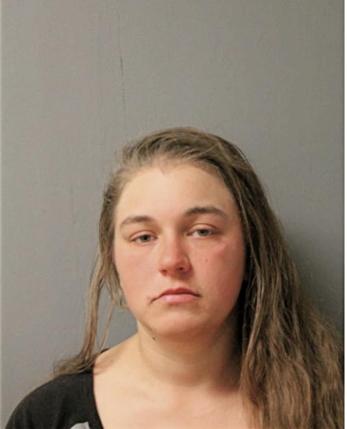DANIELLE L LEIDING, Cook County, Illinois