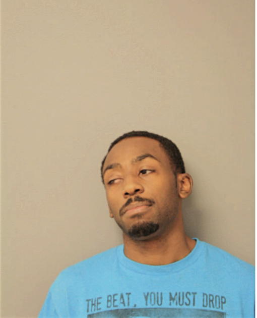 DE ANDRE M LEWIS, Cook County, Illinois
