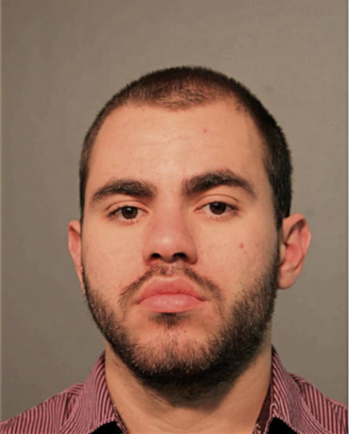 RAPHAEL DEMIRANDA MENDES, Cook County, Illinois