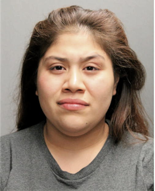 NANCY D NAVA, Cook County, Illinois
